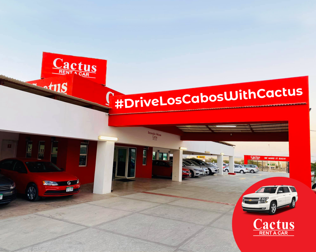 Alquiler de Autos en Cabo Rent a Car Cabo Rental Cars Cabo Cactus Car