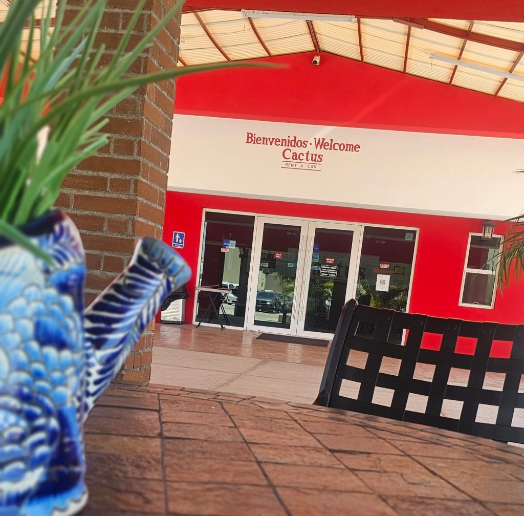 Alquiler de Autos en Cabo Rent a Car Cabo Rental Cars Cabo Cactus Car